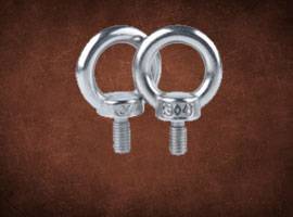 SS Eye Bolts