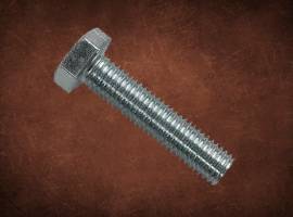 SS Hex Bolt