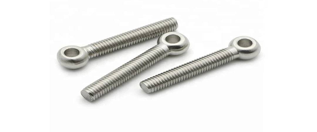 Stainless Steel 310 Eye Bolts